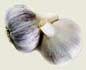 Rocambole Garlic - Organic Seed in BC